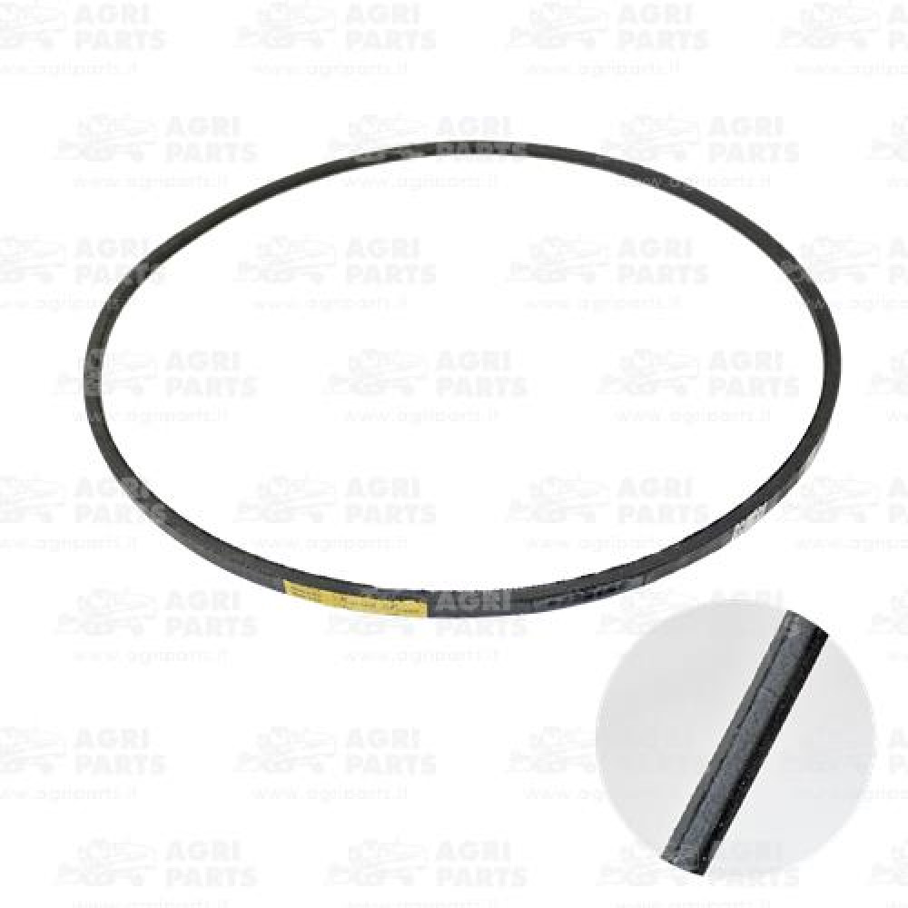 4796327 - CINGHIA - LA4796327AG