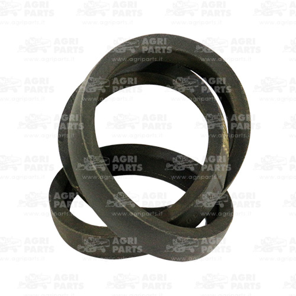 80230101 - RIEMEN - 80230101CNH