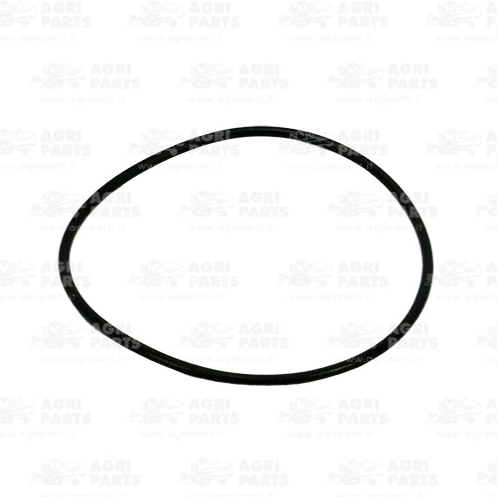 455025 - DICHTUNG - 455025CNH