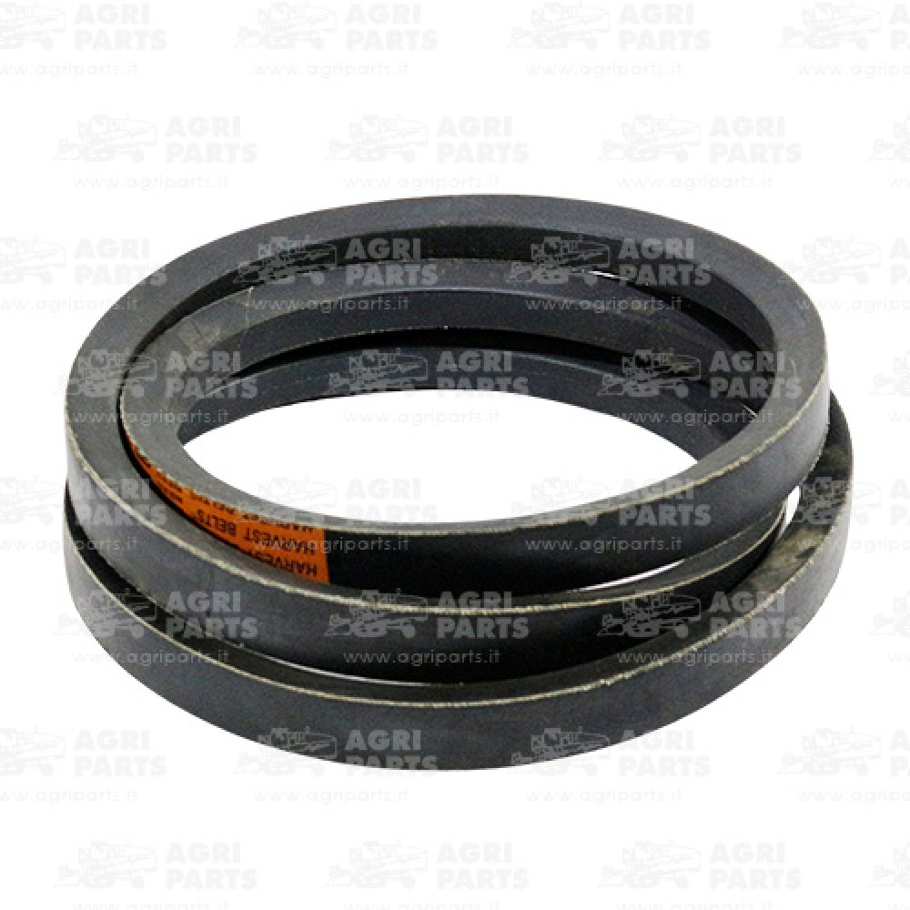 80230056 - CINGHIA - 80230056CNH