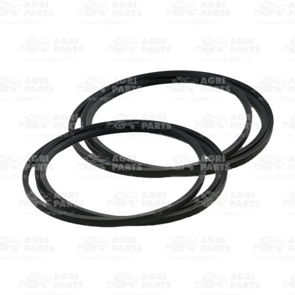 80394426 - COPPIA CINGHIE - 80394426CNH