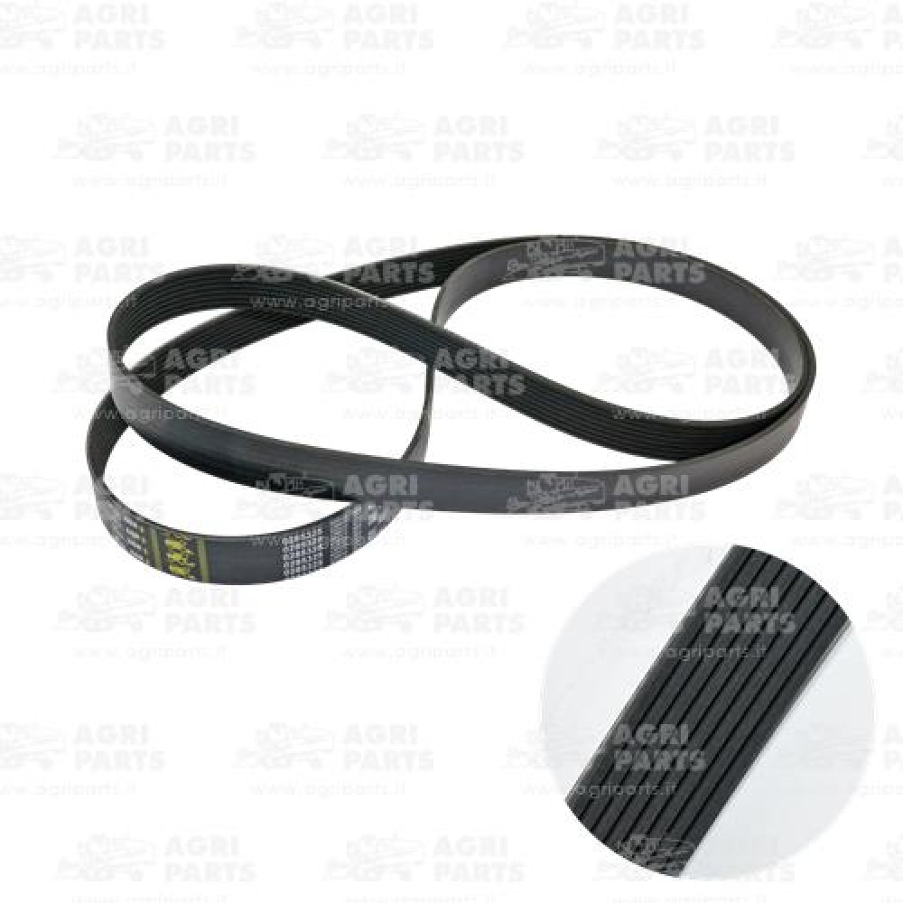 H163515 - CINGHIA - H163515JD