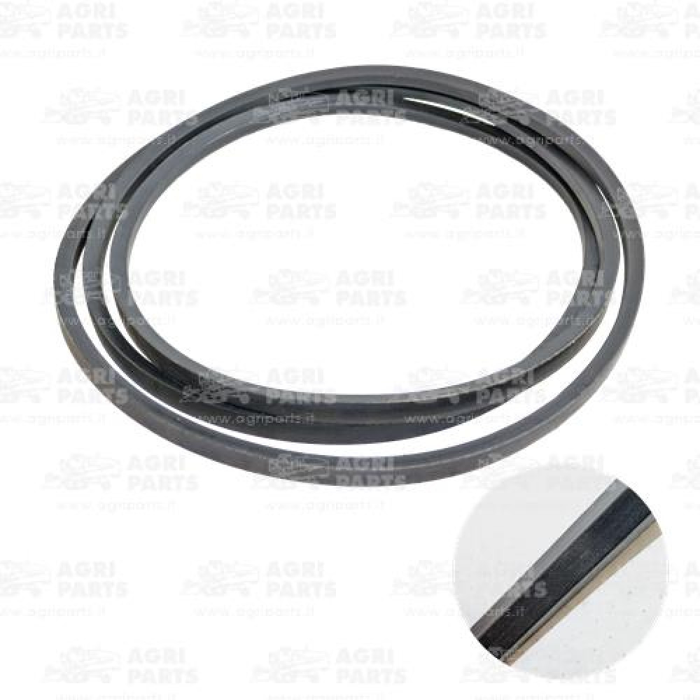 80362500 - CINGHIA - 80362500CNH