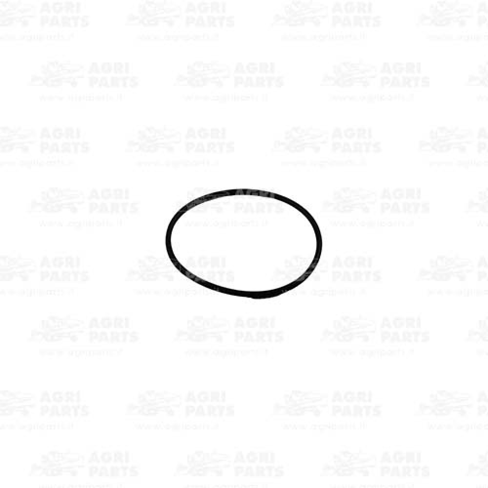 381895 - DICHTUNG - 381895CNH