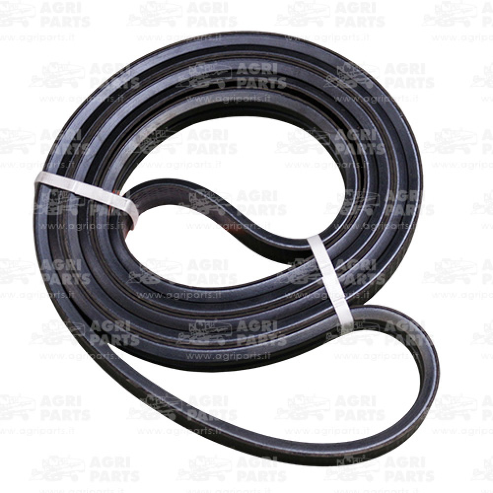 80746894 - CINGHIA (2HB) - 80746894CNH