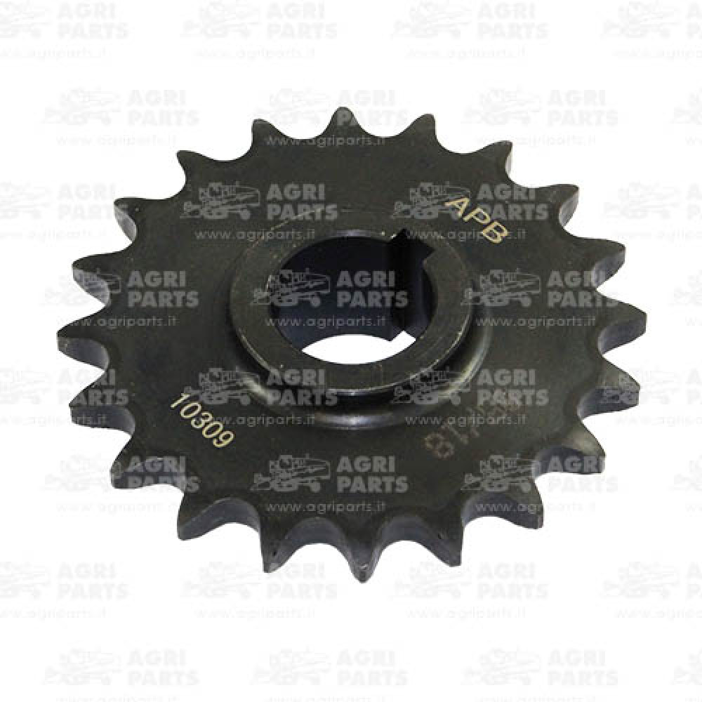 84981030 - PIGNONE - 84981030CNH