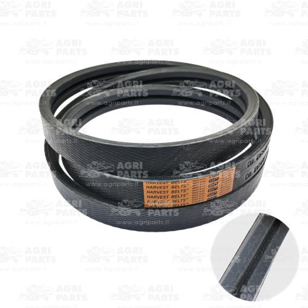 86988710 - CINGHIA - 86988710CNH