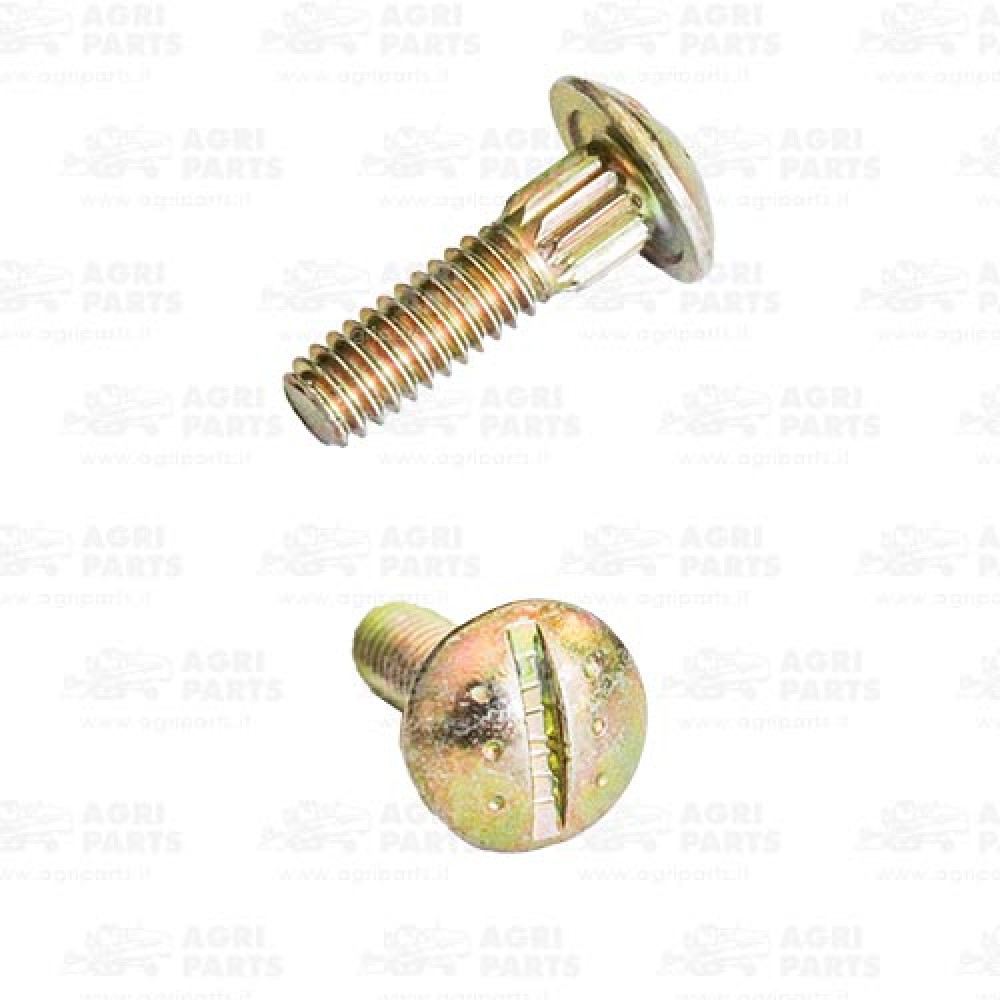 H125890 - BULLONE - H125890JD