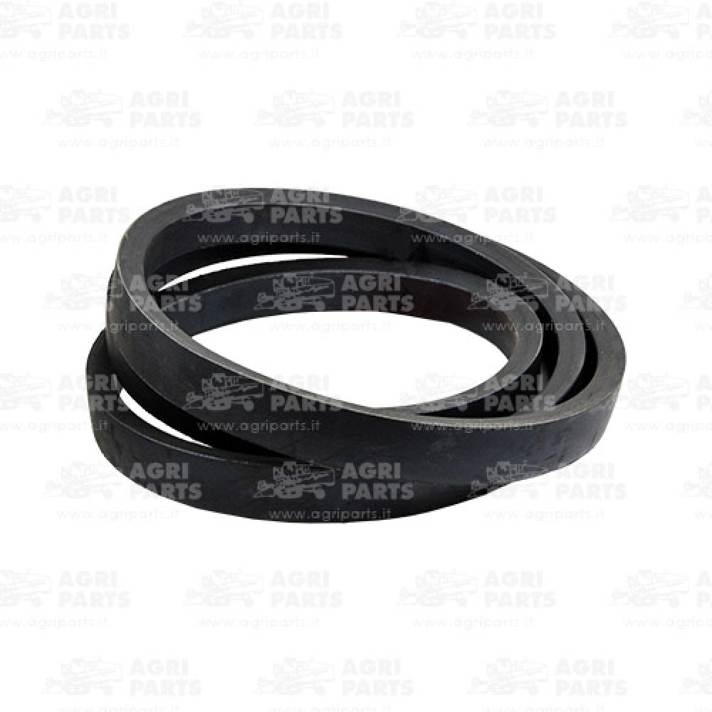 P40058 - CINGHIA - P40058JD