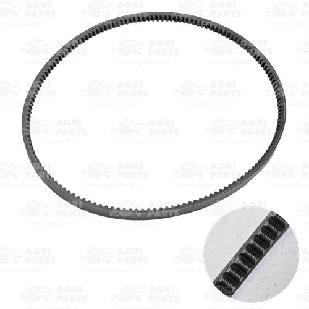 84994984 - CINGHIA - 84994984CNH