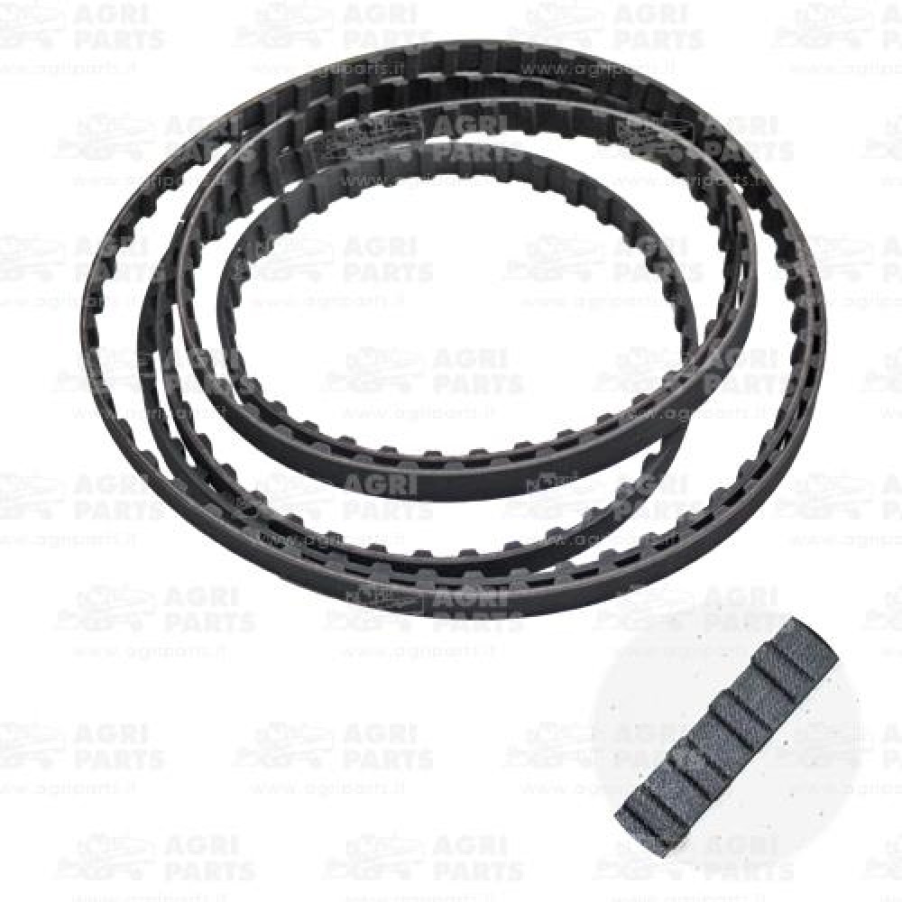 9833888 - CINGHIA - 89833888CNH