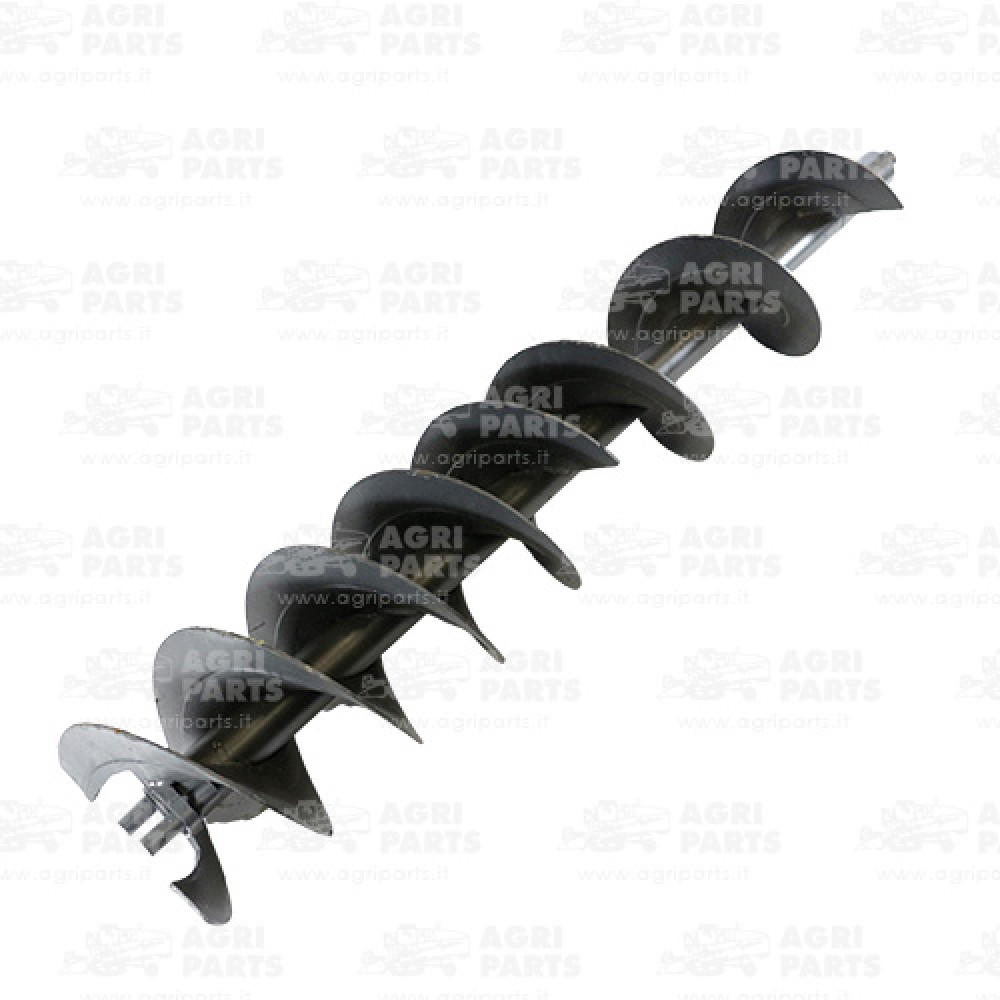 AH218485 - SCHNECKE - AH218485JD