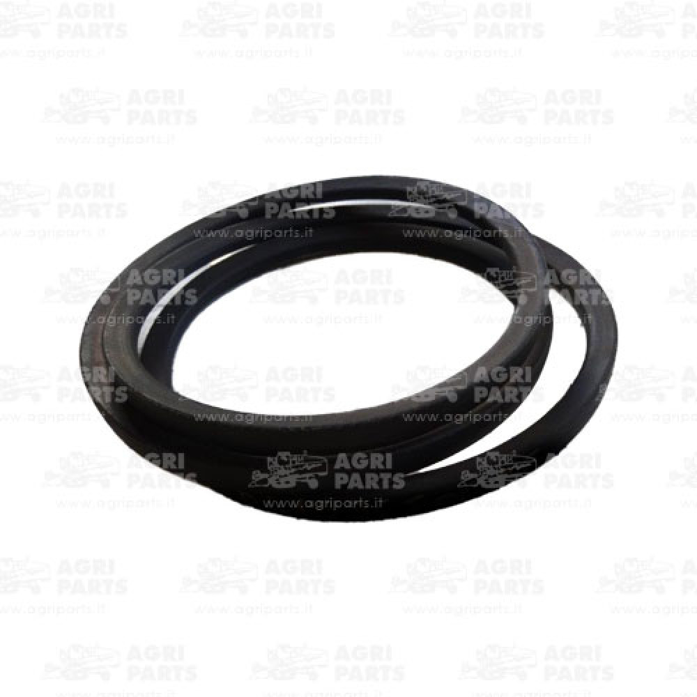 D41996500 - CINGHIA - D41996500AG