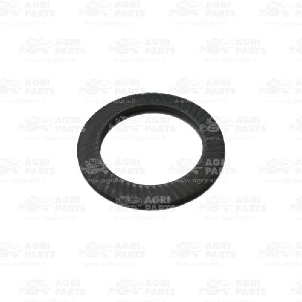 DR12040 - RONDELLA - DR12040OL