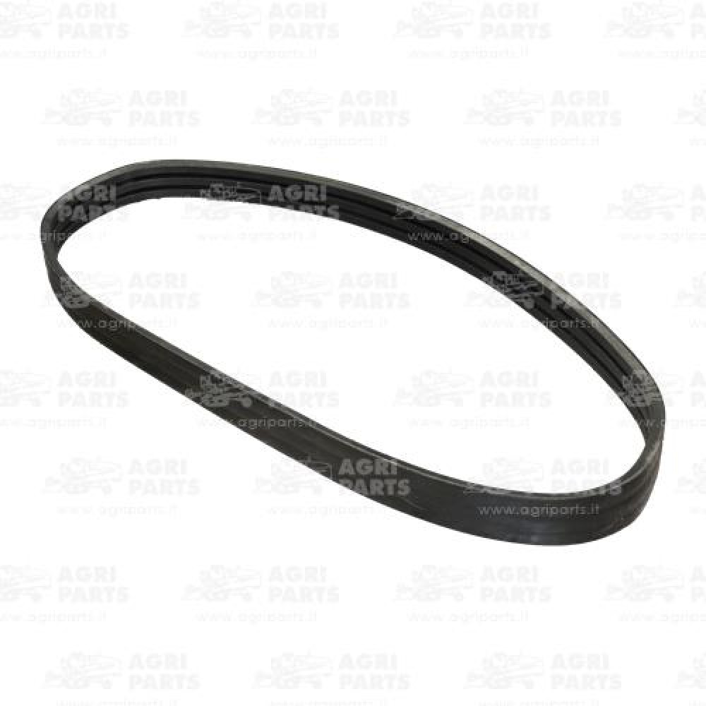 H164368 - CINGHIA PIATTA - H164368JD