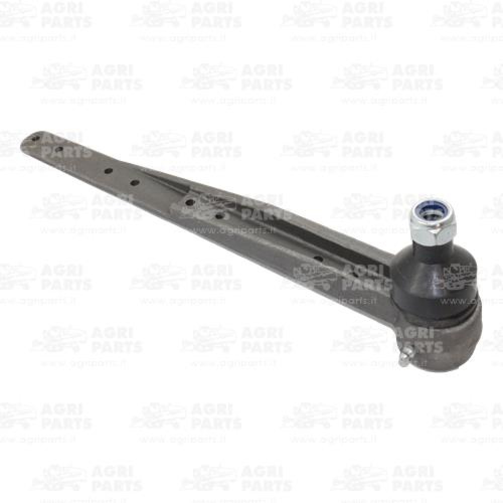 AH21346 - TESTA LAMA - AH21346JD