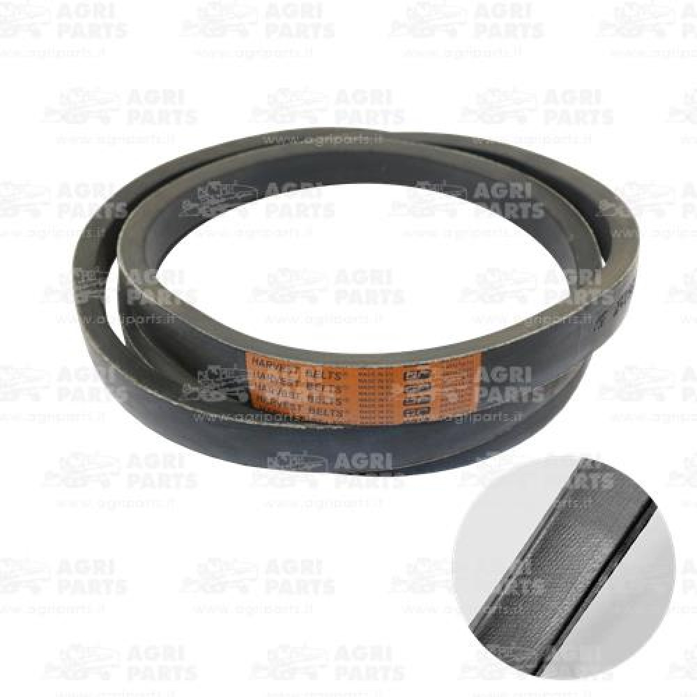 D41981100 - BELT - D41981100AG