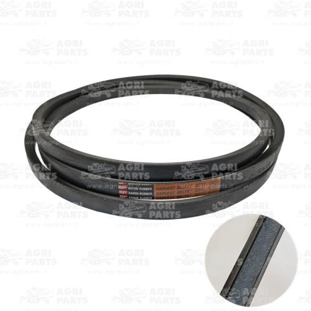 D41986300 - CINGHIA TRAPEZOIDALE - D41986300AG