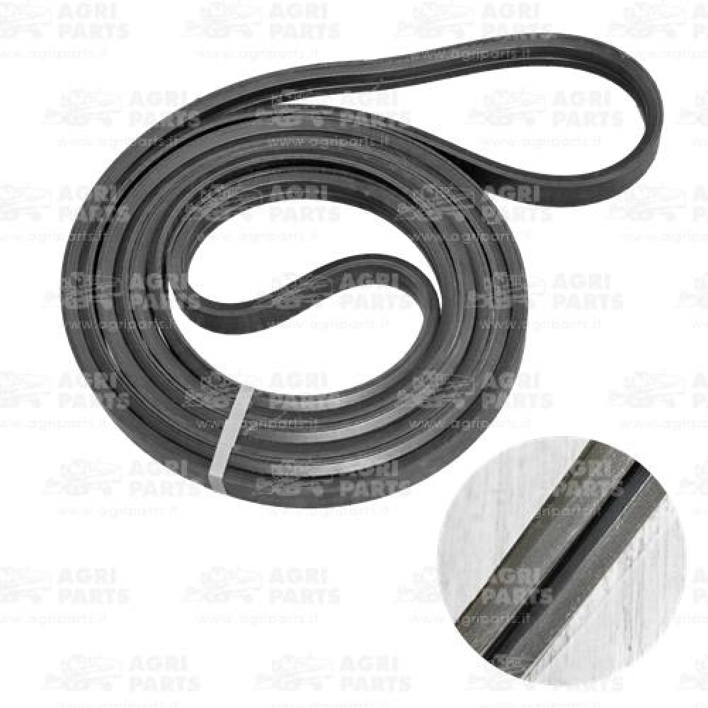 CQ39824 - CINGHIA - CQ39824JD