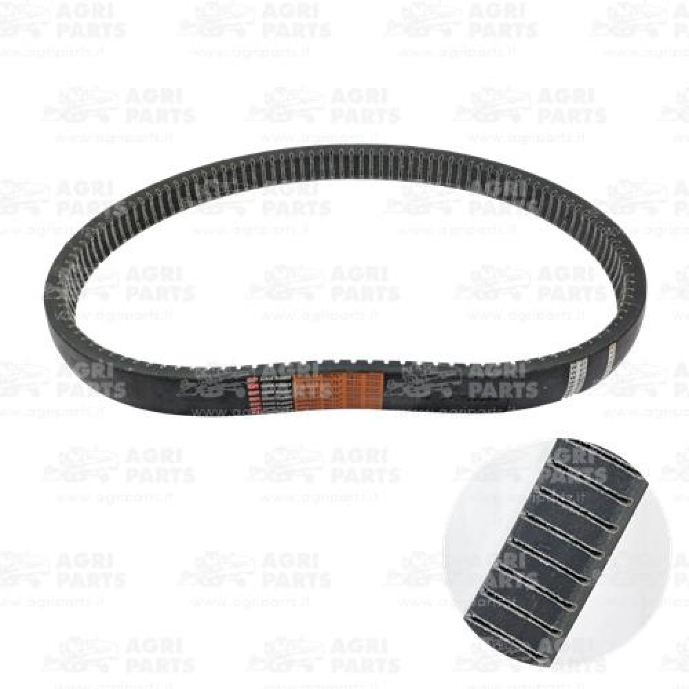 7025360 - BELT - 0007025360CL