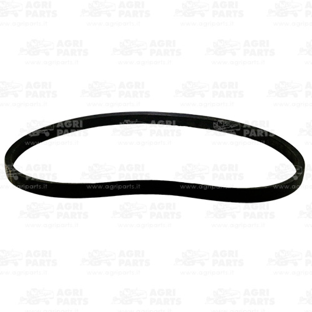 H108669 - CINGHIA - H108669JD