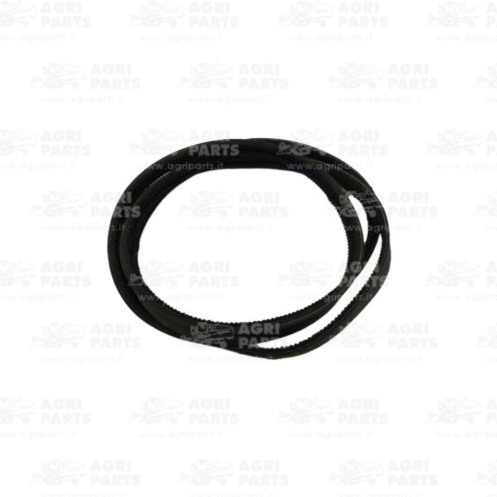 H175434 - CINGHIA (2HB) - H175434JD