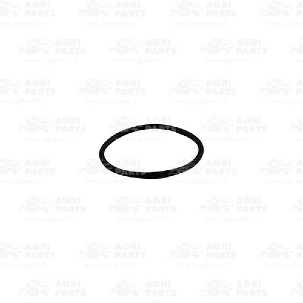 N208245 - GUARNIZIONE - N208245JD