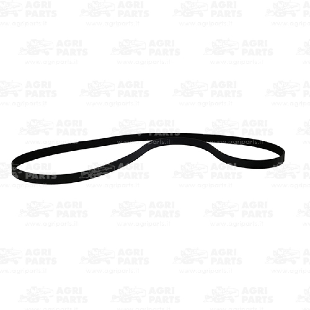 R241746 - CINGHIA - R241746JD