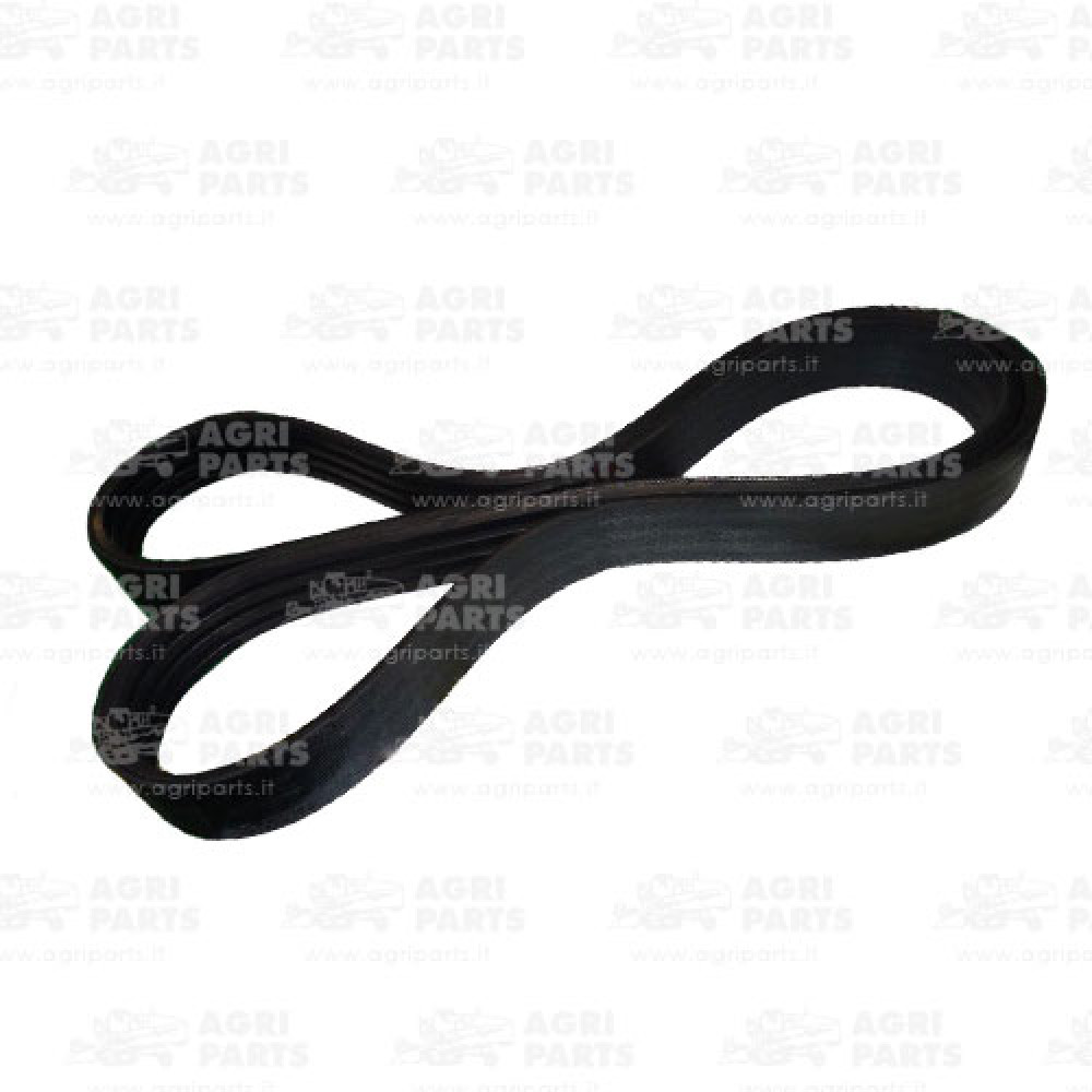 Z33790 - CINGHIA - Z33790JD