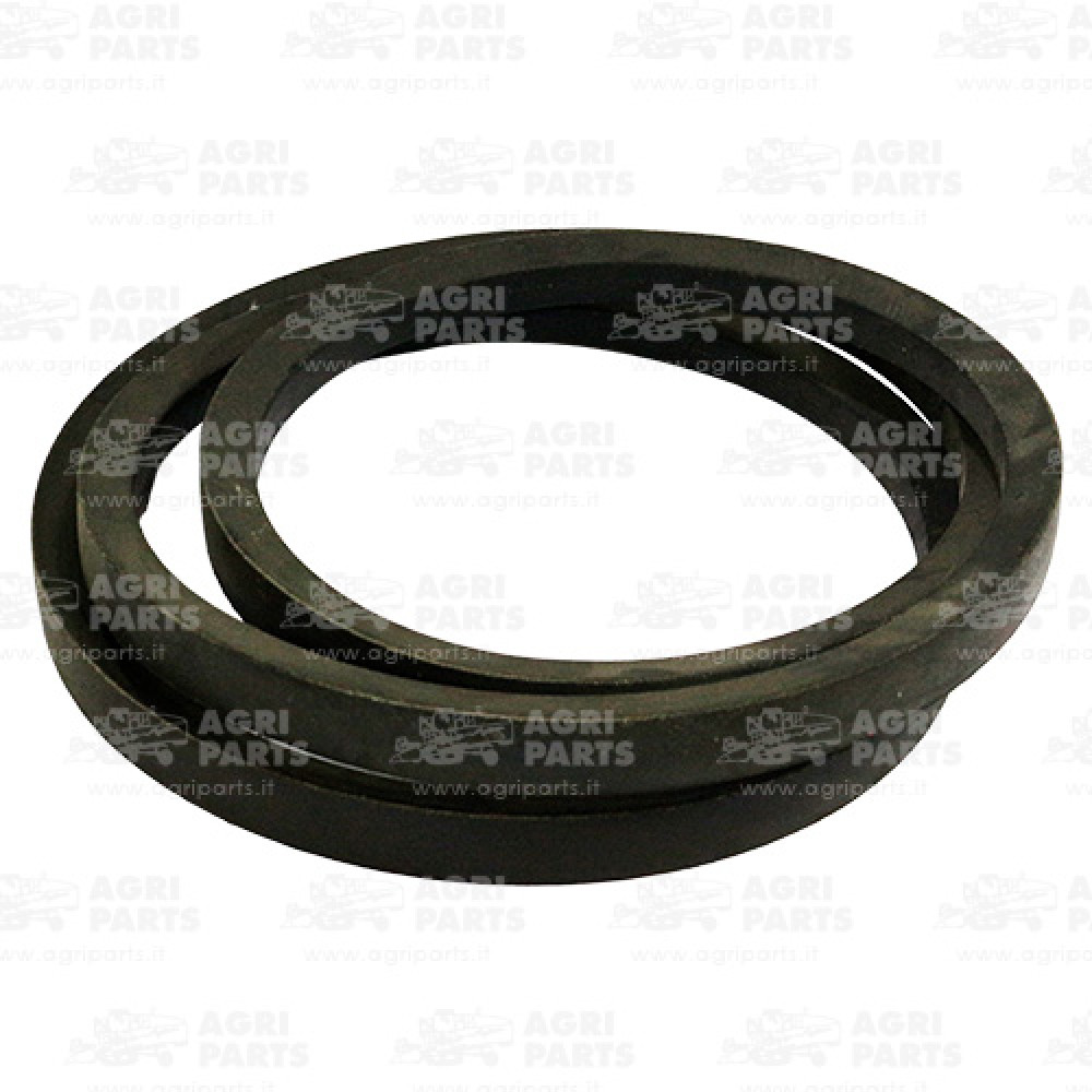 Z33368 - RIEMEN - Z33368JD