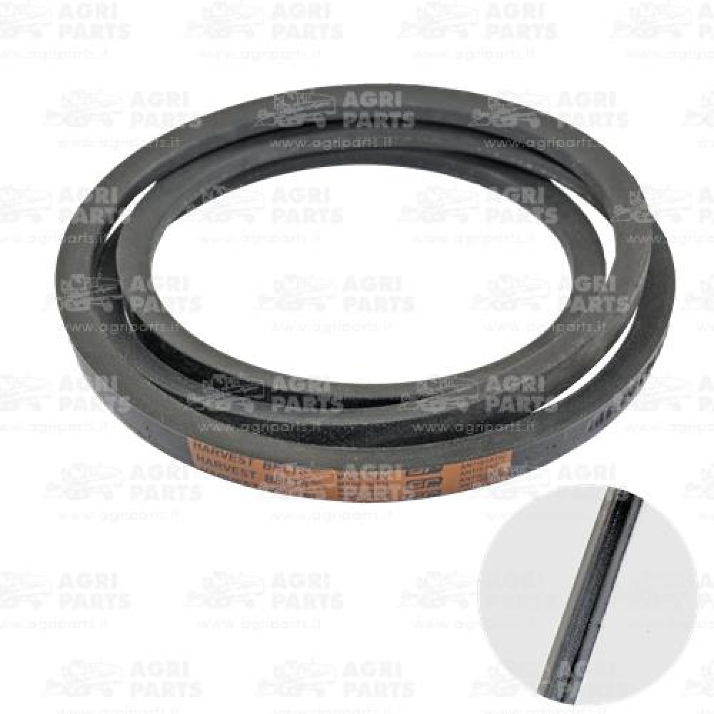 H79236 - KEILRIEMEN - H79236JD