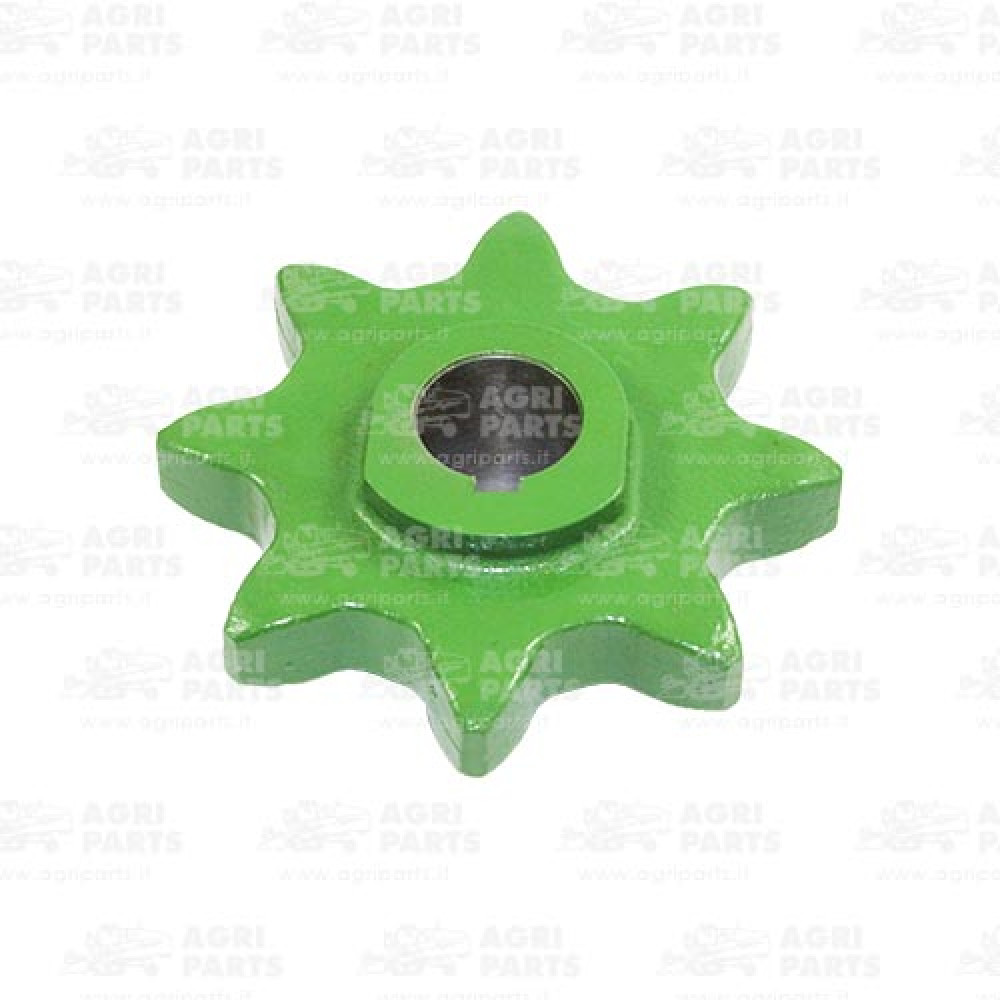 Z11211 - PIGNONE - Z11211JD