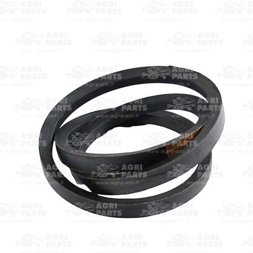 Z34828 - CINGHIA - Z34828JD