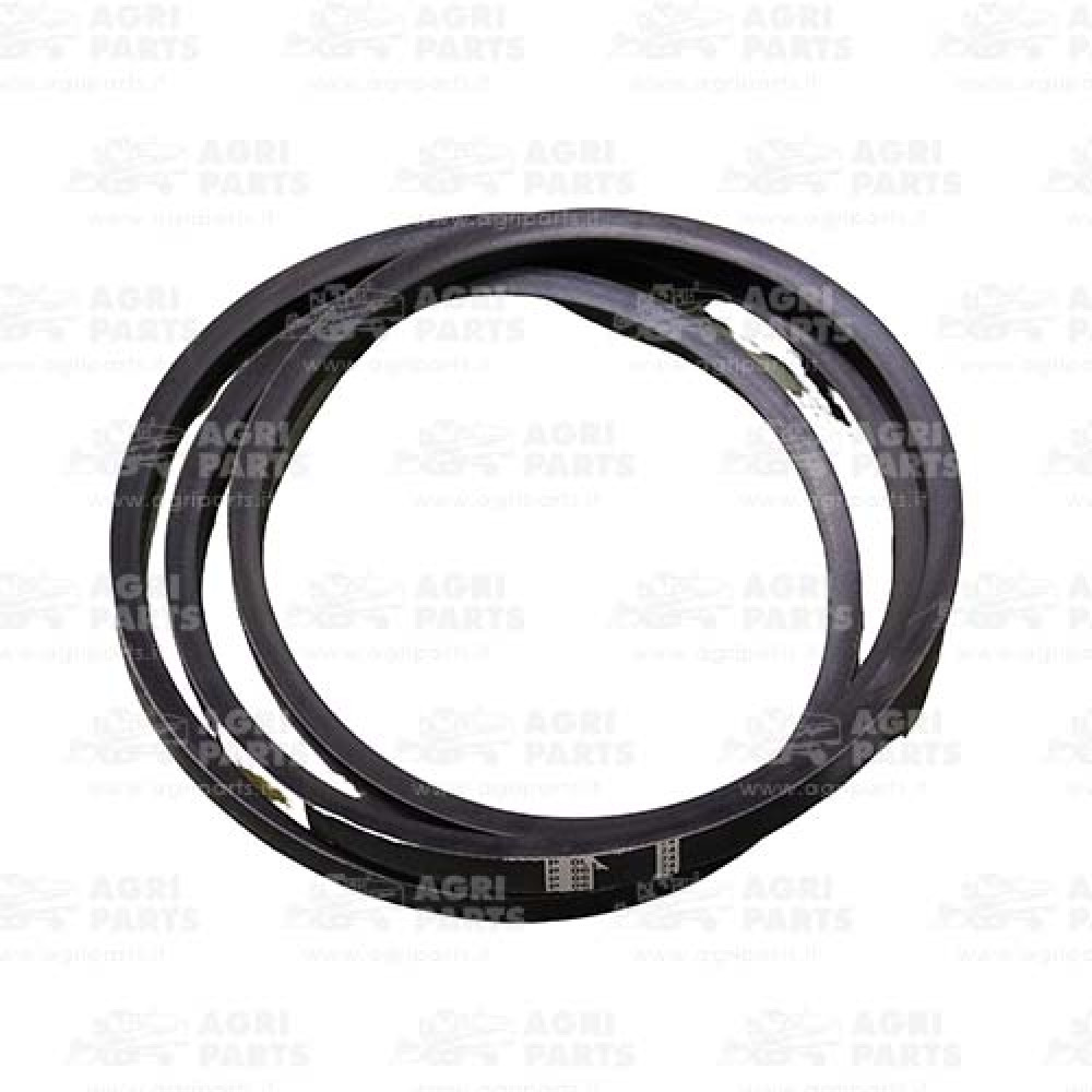 H221324 - CINGHIA - H221324JD