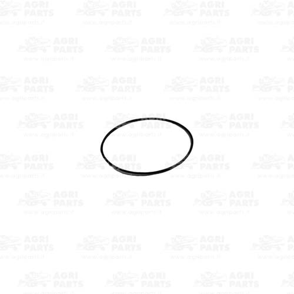 28107 - ANELLO O-RING - 28107CA