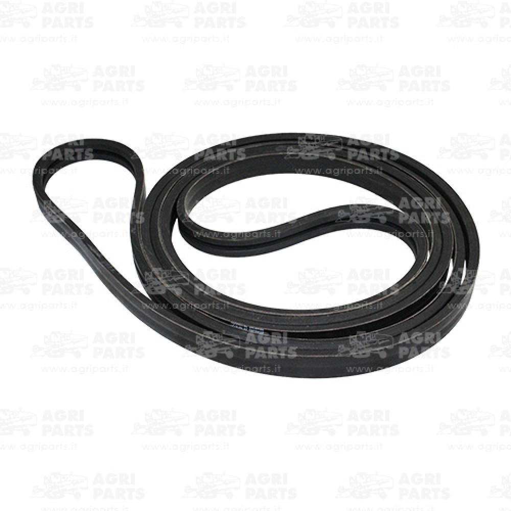 D41978900 - CINGHIA TRAPEZOIDALE - D41978900AG