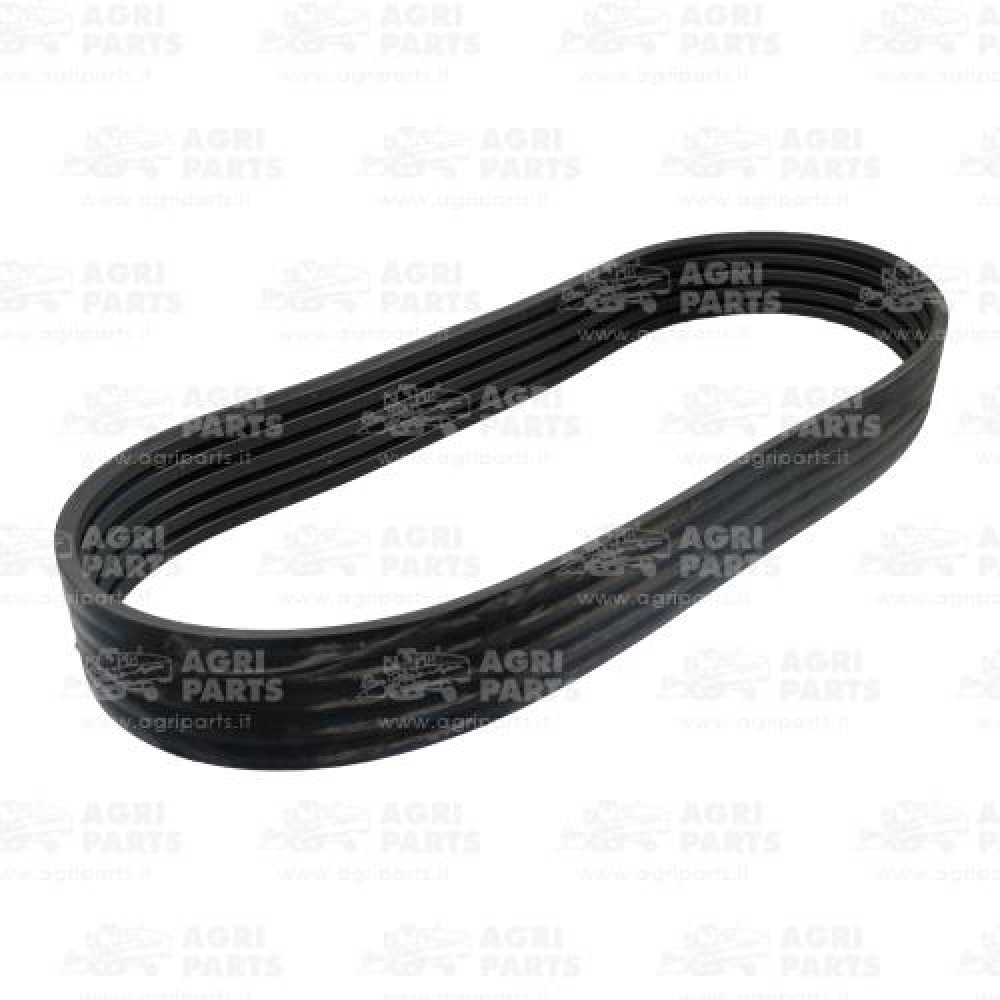 18AP011918 - CINGHIA MULTIPLA - 18AP011918