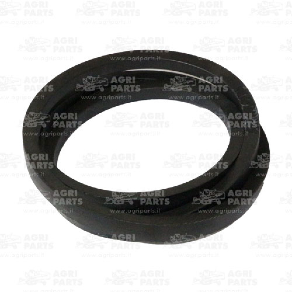 18AP011937 - CINGHIA - 18AP011937