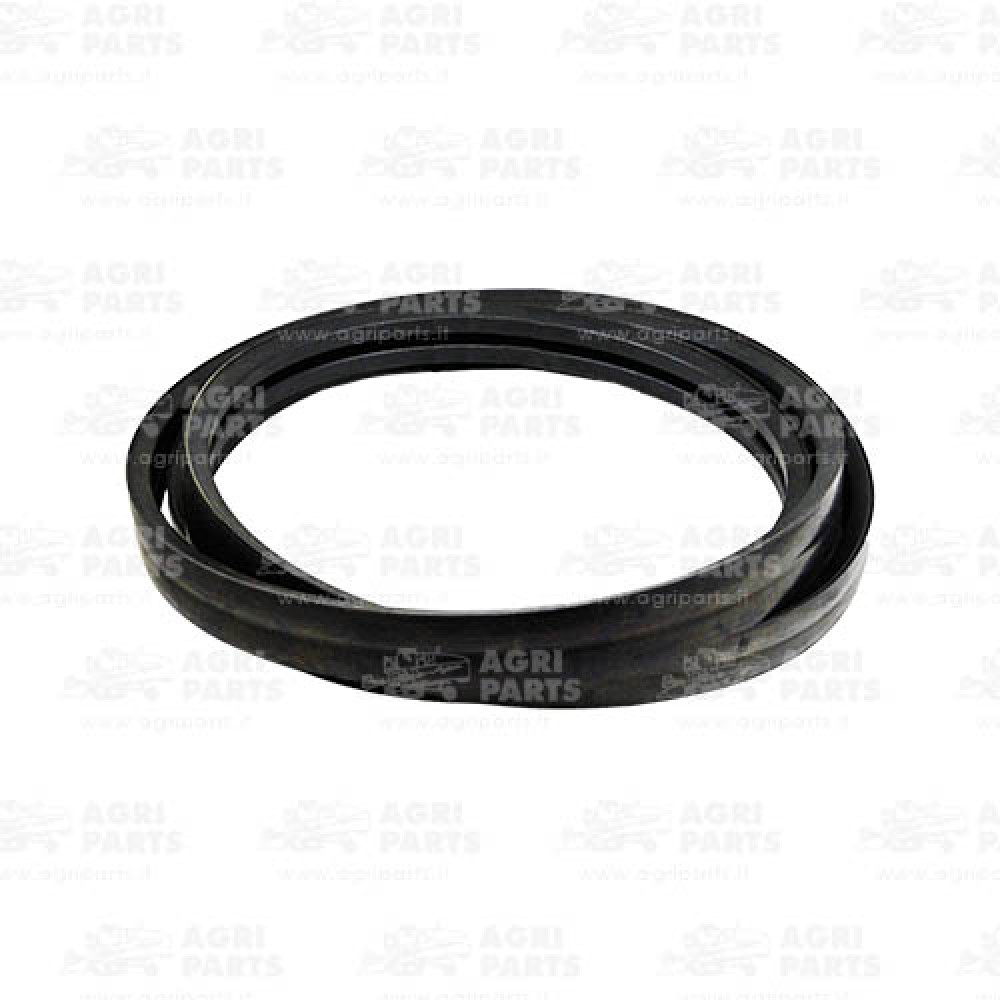 18AP011940 - CINGHIA MULTIPLA - 18AP011940