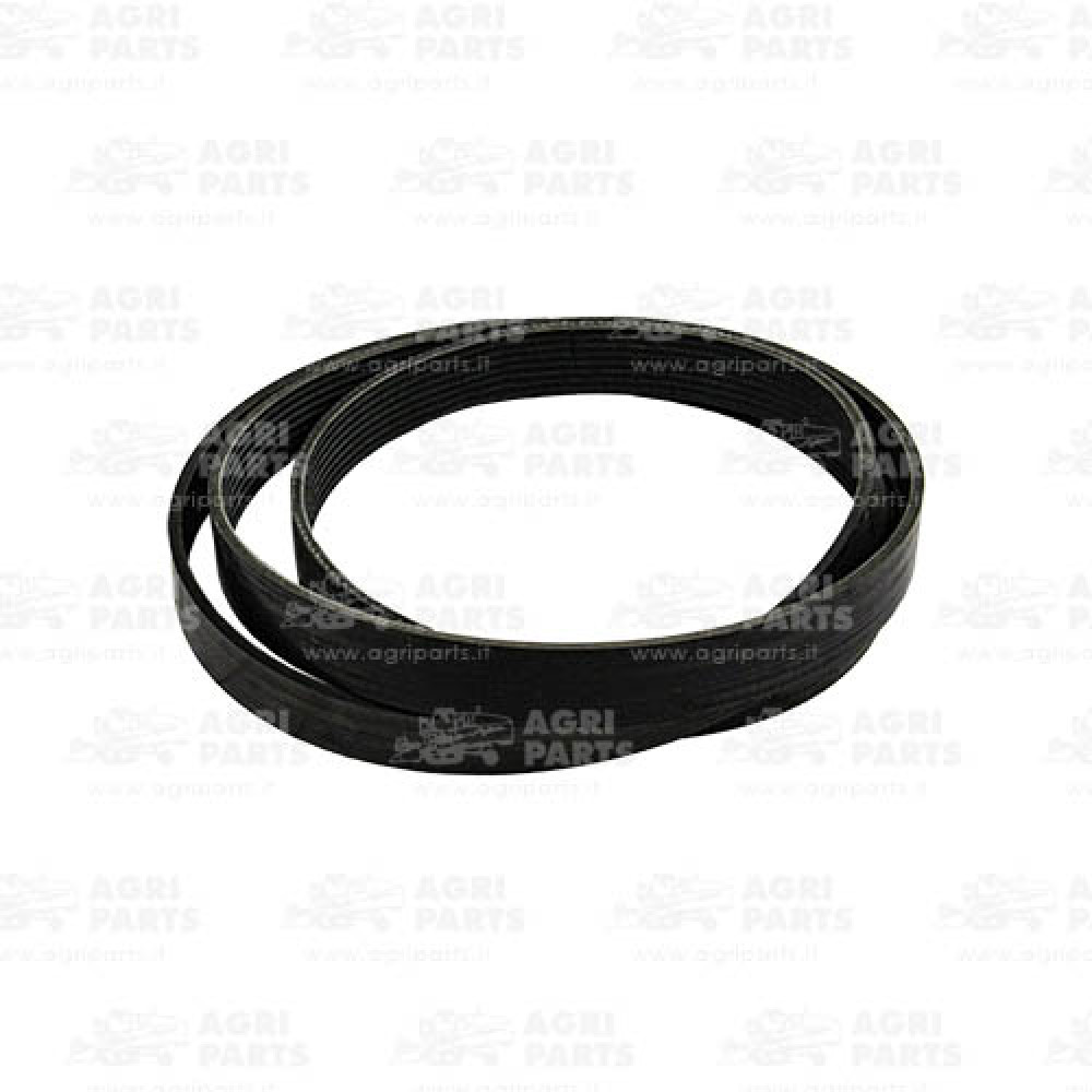 7619791 - CINGHIA - MULTI V - 0007619791CL