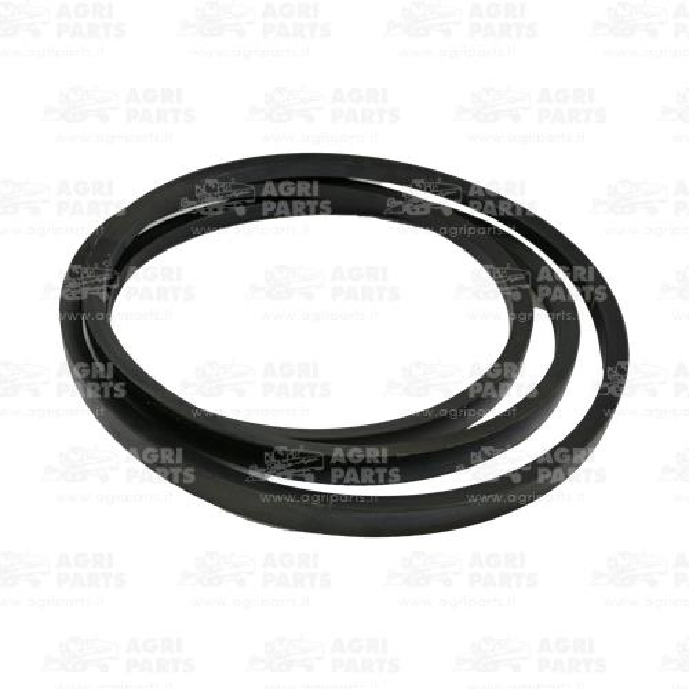 18AP011948 - CINGHIA - 18AP011948