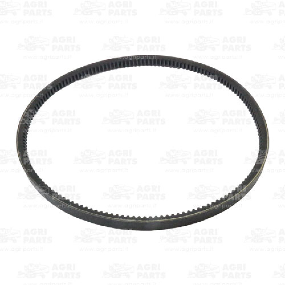 18AP011962 - BELT - 18AP011962