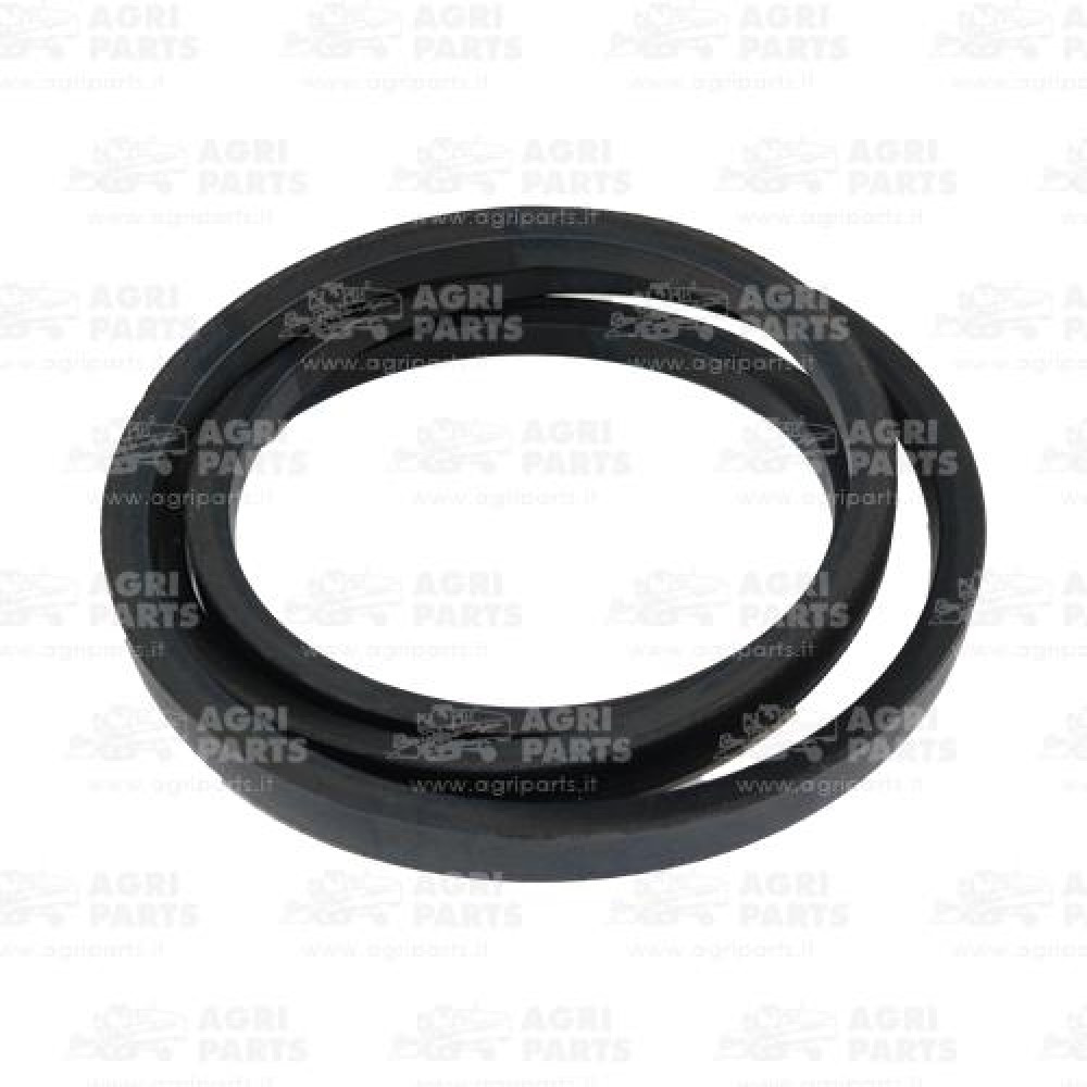 18AP011973 - CINGHIA - 18AP011973