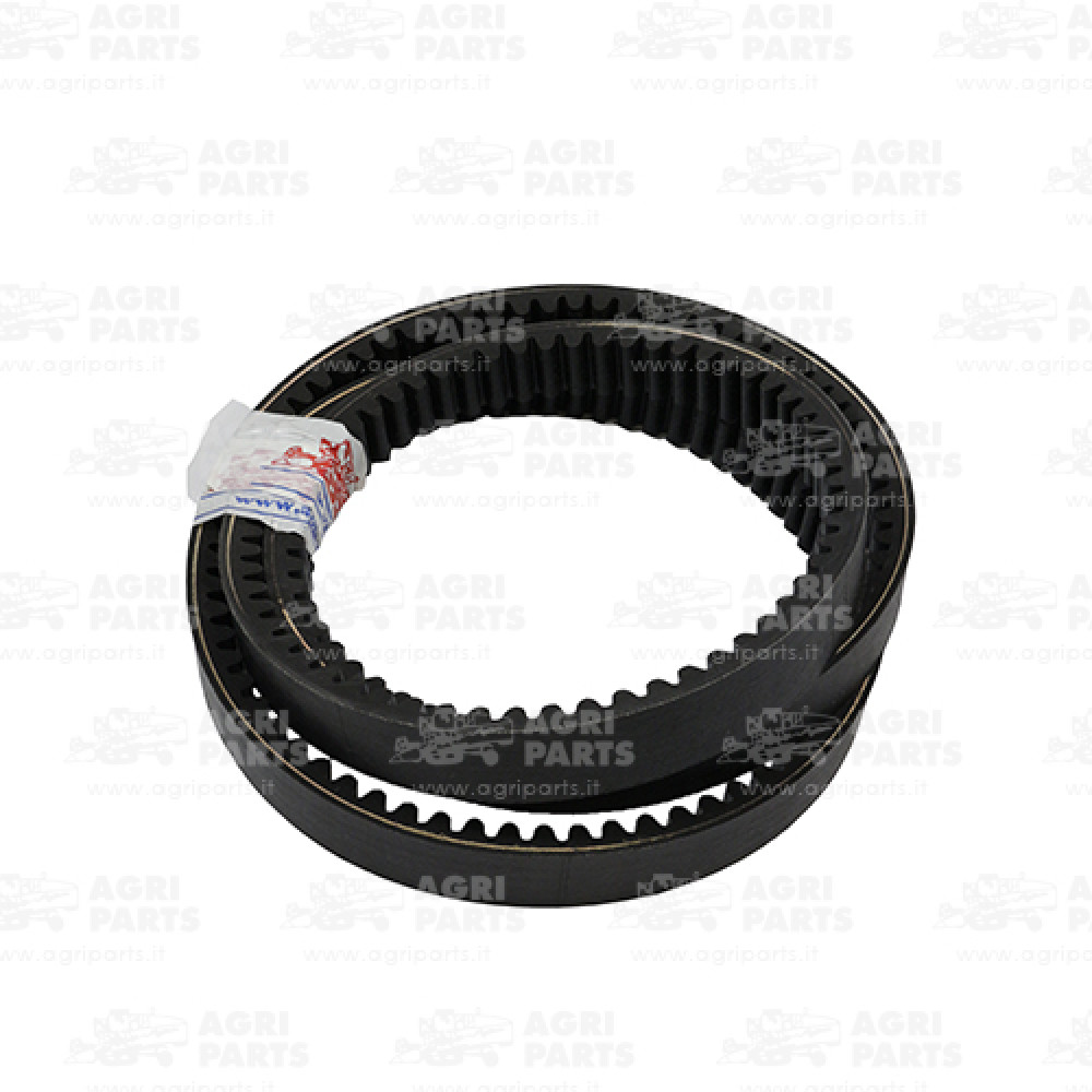 HXE15594 - CINGHIA - HXE15594JD