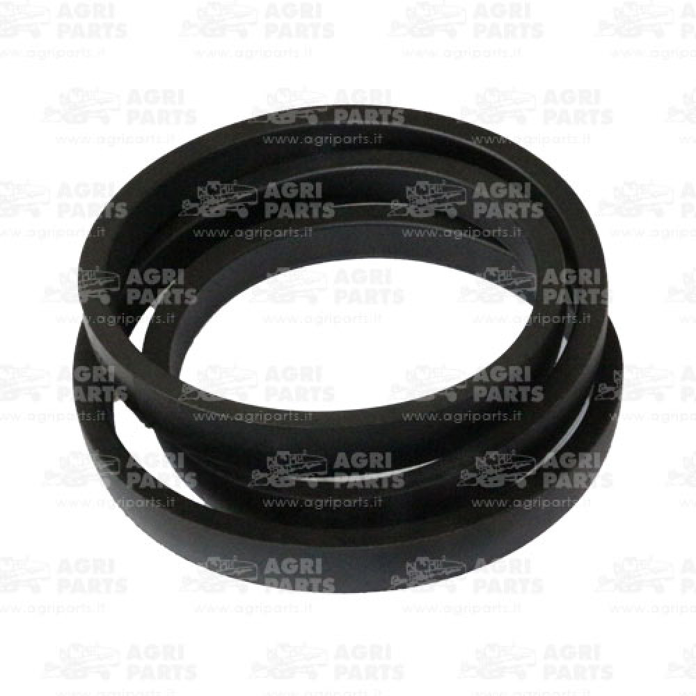 18AP011978 - CINGHIA - 18AP011978