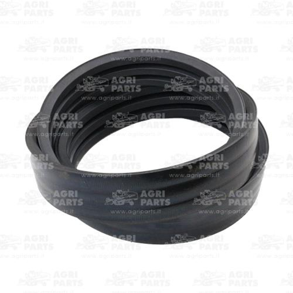 18AP011999 - CINGHIA - 18AP011999