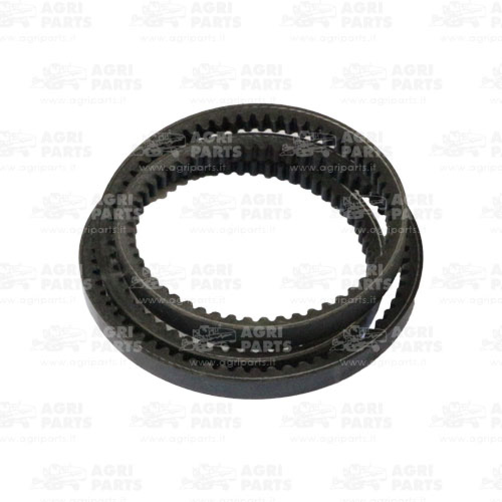 18AP012016 - CINGHIA - 18AP012016