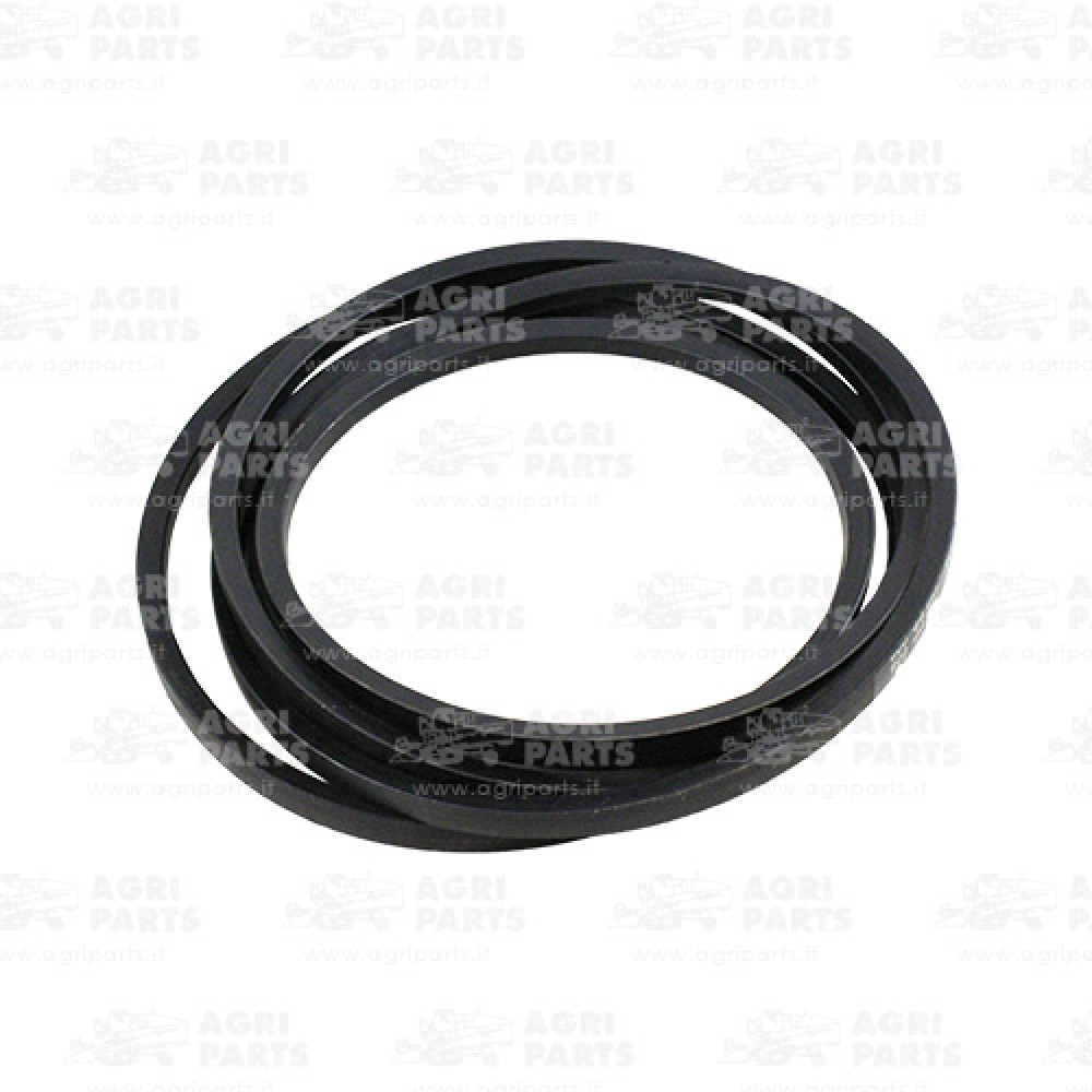 18AP012021 - CINGHIA - 18AP012021