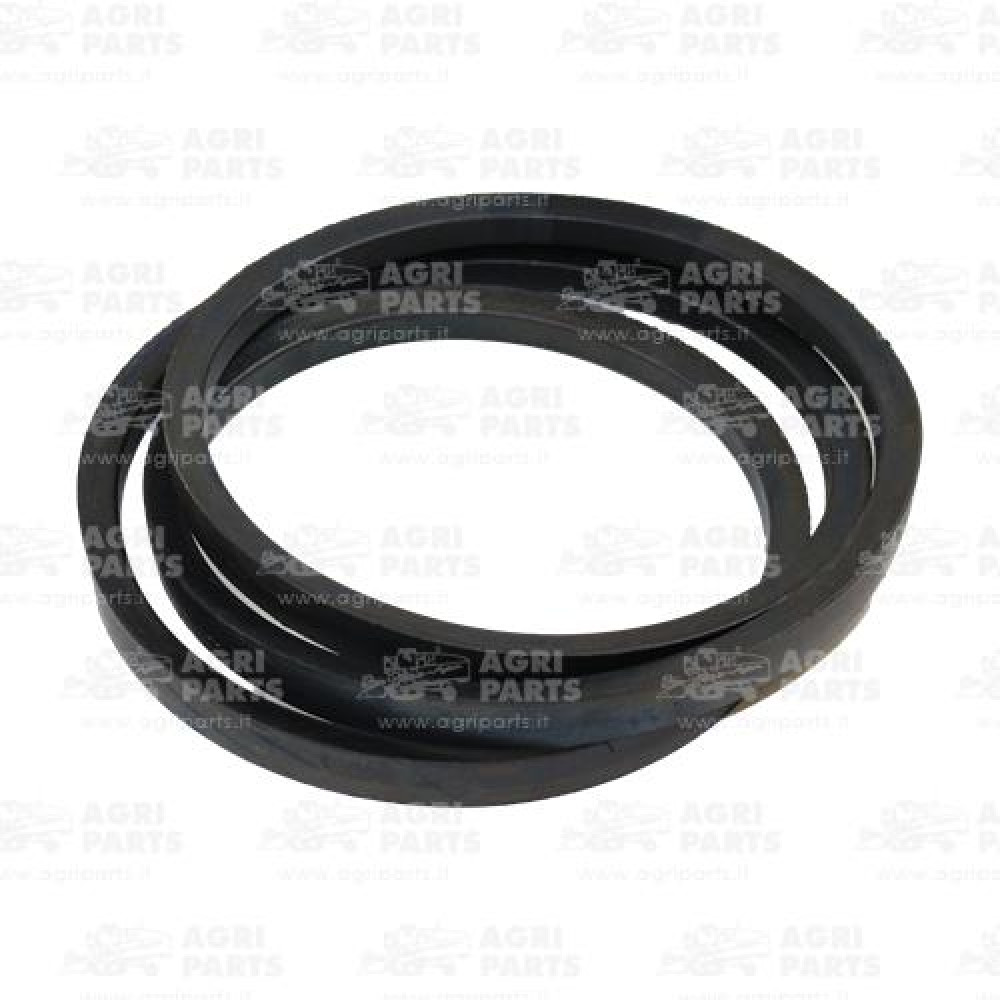 18AP012031 - CINGHIA - 18AP012031