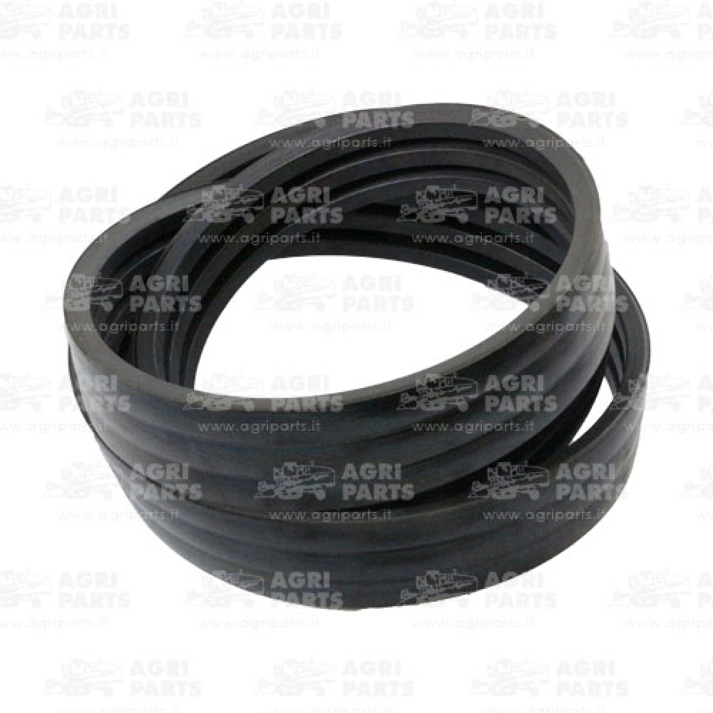 18AP012046 - CINGHIA - 18AP012046